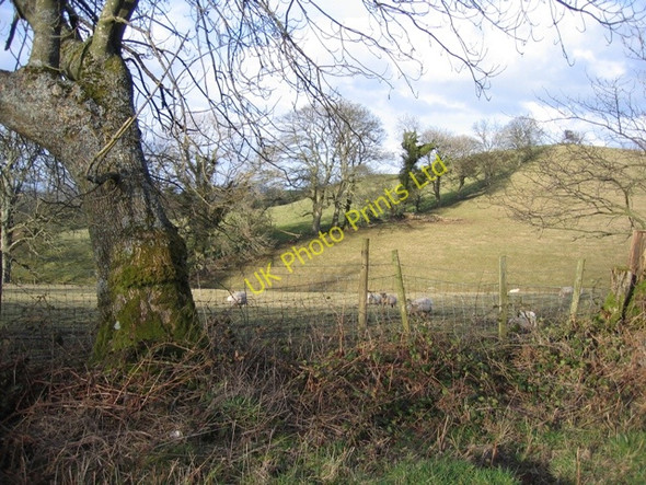 Photo 6"x4" County Constituency Boundary North of Moel Truan Morfydd c2007