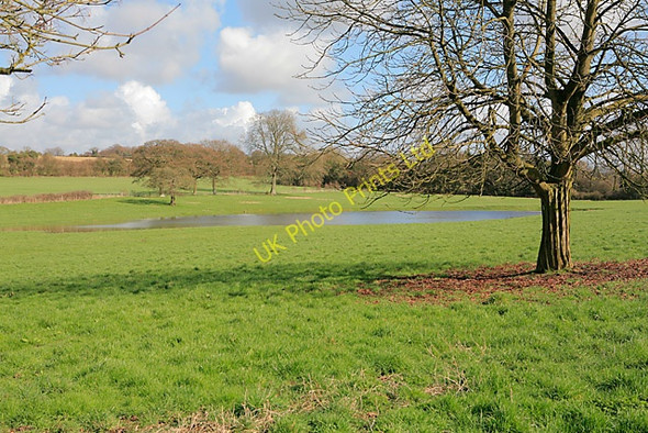 Photo 6"x4" Pond feeding River Itchen at Cheriton Cheriton\/SU5828 c2007