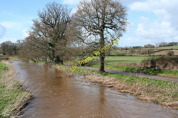 Photo 6"x4" Rewe: the swollen Culm Columbjohn c2007