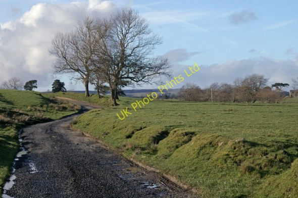 Photo 6"x4" Track to Moss Laithe Farm Grunsagill c2007