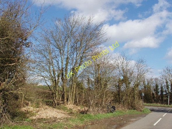 Photo 6"x4" Hedge on road to Hampton Gay Bletchingdon c2007