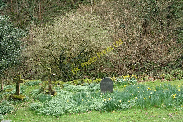 Photo 6"x4" Oare: Culbone churchyard Worthy\/SS8548 c2007