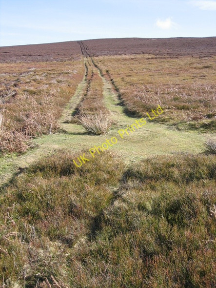 Photo 6"x4" Landrover Track to Moel Morfydd Bryneglwys\/SJ1447 c2007