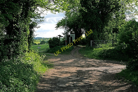 Photo 6"x4" Path junction at Little Golders, nr Chilcomb Chilcomb c2007