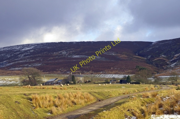 Photo 6"x4" Fellside Farm Abbeystead c2006