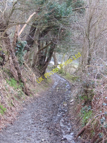Photo 6"x4" Offas Dyke LDP near Crogen Wladys Bronygarth c2007 P1