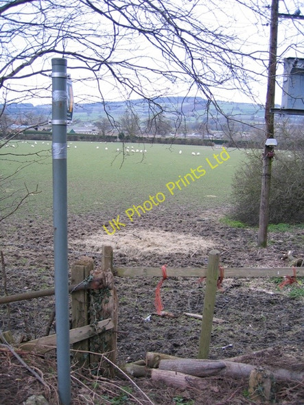 Photo 6"x4" Public Footpath near Lodge Farm, Chirk Chirk Green c2007
