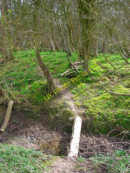 Photo 6"x4" Entrance to Turnpike Wood Rye c2007