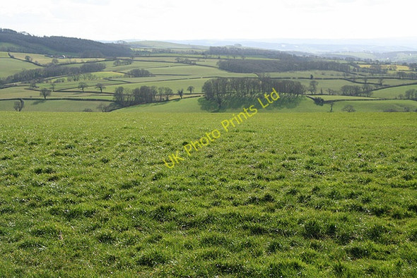Photo 6"x4" Cheriton Fitzpaine: near Post Cross Upham\/SS8808 c2007