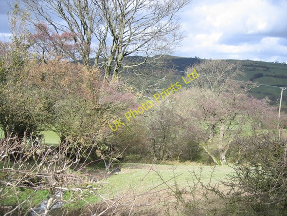 Photo 6"x4" Stream and Hedges at Morfydd Morfydd c2007