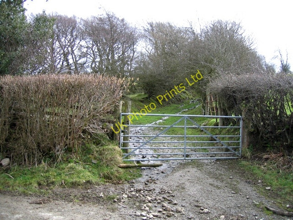 Photo 6"x4" Trackway at Morfydd Morfydd c2007