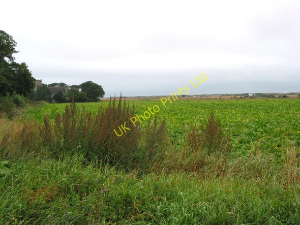 Photo 6"x4" Farmland between Hempstead and Eccles on Sea Hempstead\/TG4028 c2002