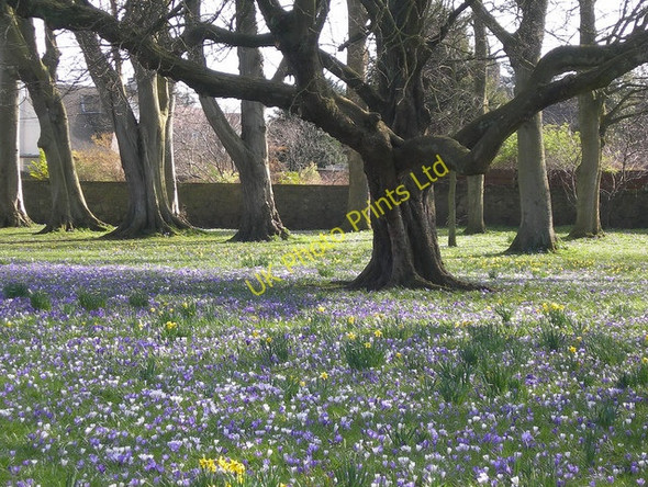 Photo 6"x4" Corsehill Park Ayr c2007