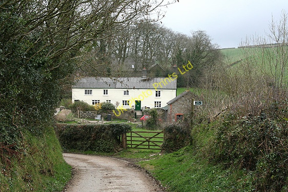 Photo 6"x4" Molland: cottages near Great Champson Champson c2007