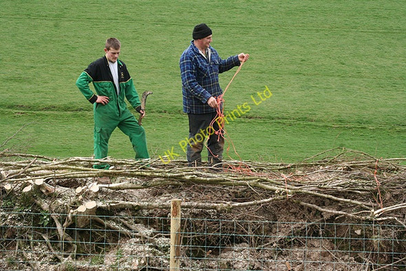 Photo 6"x4" Molland: hedging Champson c2007