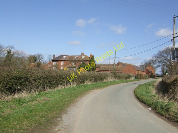 Photo 6"x4" White Ladies Farm Renshaw Wood c2007