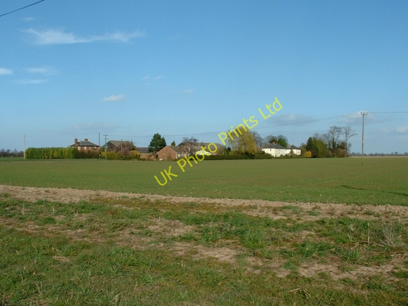 Photo 6"x4" Maze Farm, near Long Sutton Little Sutton\/TF4522 c2007