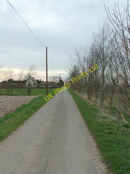 Photo 6"x4" Lane near Sutton Bridge Sutton Bridge c2007