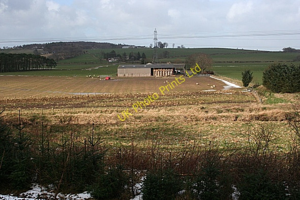 Photo 6"x4" Haughs of Grange Davoch of Grange c2007