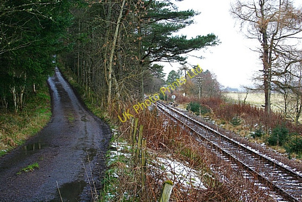 Photo 6"x4" Road and Rail Davoch of Grange c2007
