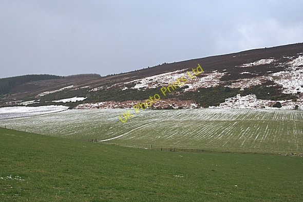 Photo 6"x4" Little Balloch Hill Nethermills c2007