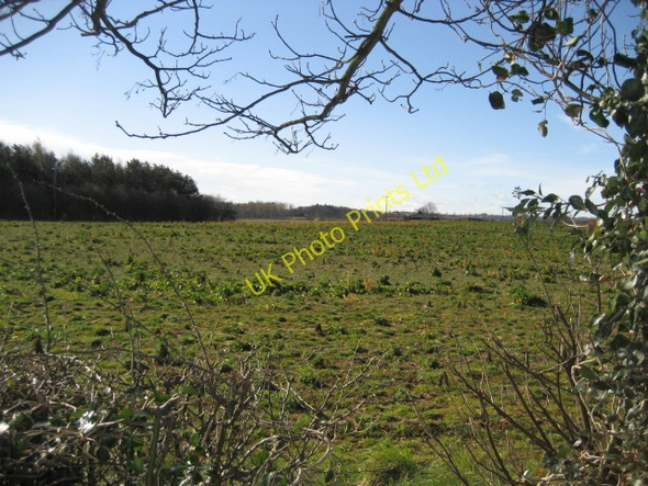 Photo 6"x4" Field and Wood Bridge Hewick c2007