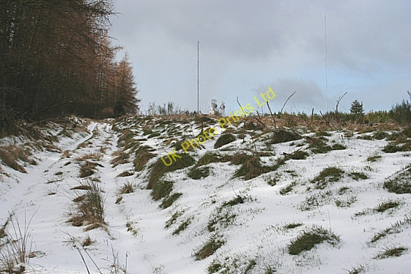 Photo 6"x4" Old road Auchinderran\/NJ4055 c2007