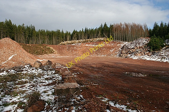 Photo 6"x4" Forest Quarry Clochan c2007