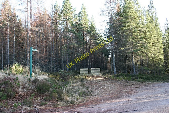 Photo 6"x4" Rothes Cycle Trail Orton\/NJ3153 c2007