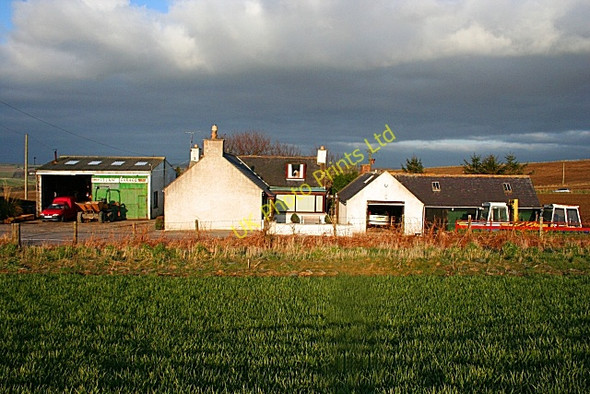 Photo 6"x4" Itlaw Smithy Pole of Itla c2007