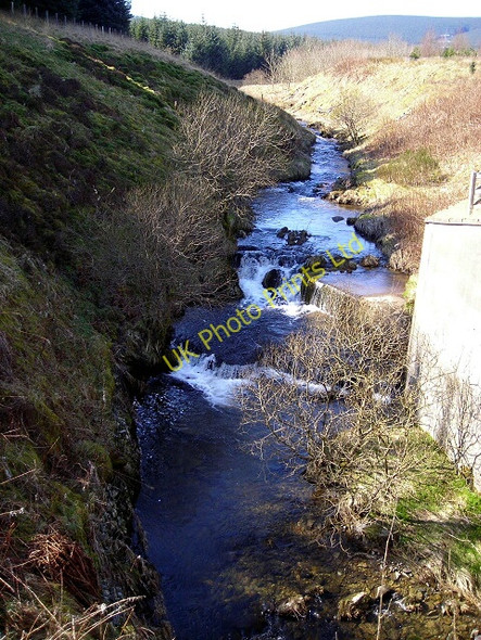 Photo 6"x4" Burn Near Hector's Bridge March\/NS9914 c2007
