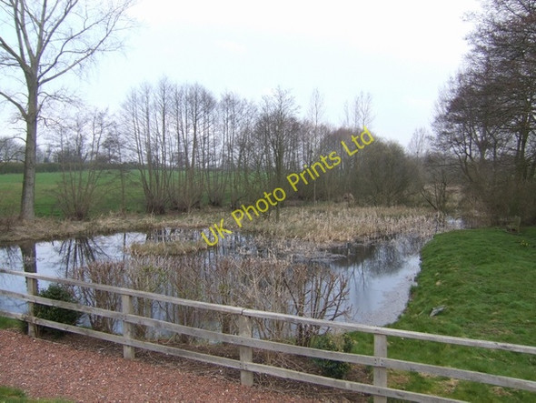 Photo 6"x4" Conservation Project Tong\/SJ7907 c2007