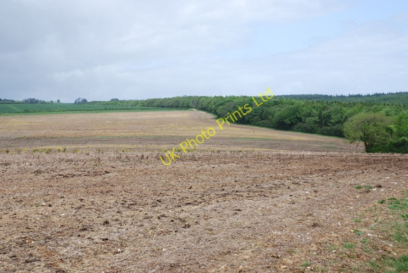 Photo 6"x4" Farmland and edge of  Whatcombe Wood Higher Whatcombe c2007