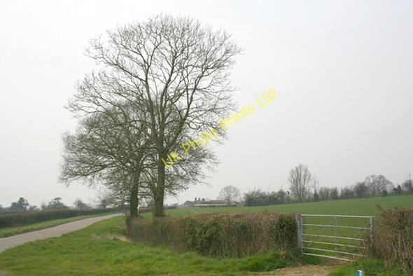 Photo 6"x4" Road between Ditcheat & Wraxall Ditcheat c2007