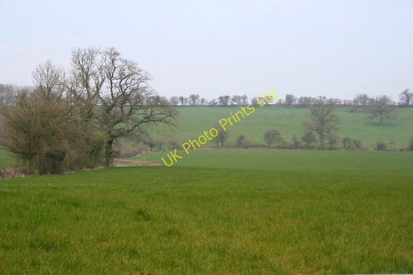 Photo 6"x4" Looking towards Ditcheat Hill Ditcheat c2007