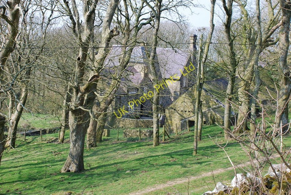 Photo 6"x4" Meillionydd Mawr Pen-y-groeslon c2007
