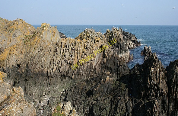 Photo 6"x4" Garron Point Sandend c2007 P3