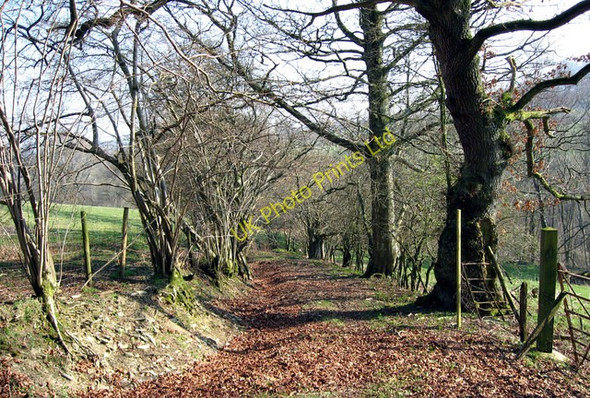 Photo 6"x4" Hen  ffordd y mynydd. An old mountain road. Tan-y-fron\/SH9564 c2007