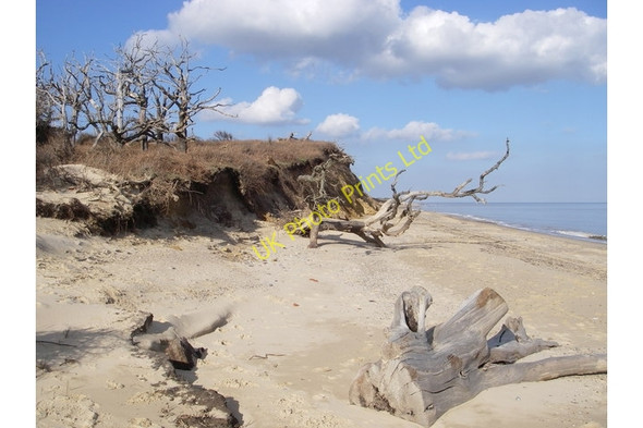 Photo 6"x4" Easton Wood Covehithe c2007
