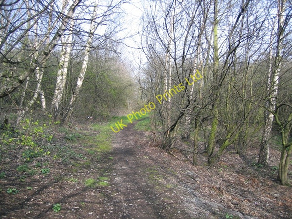 Photo 6"x4" Footpath in Sandycroft Pentre\/SJ3267 c2007