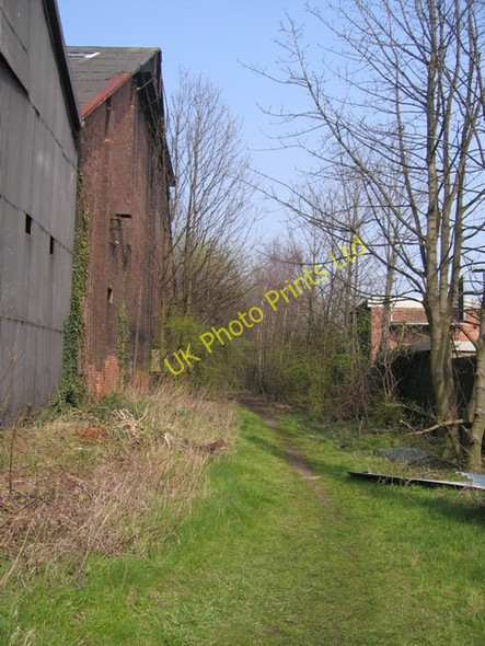 Photo 6"x4" Footpath to the River Dee Pentre\/SJ3267 c2007
