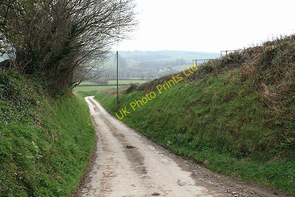 Photo 6"x4" Molland: lane to Combsland Cross Bickingcott c2007
