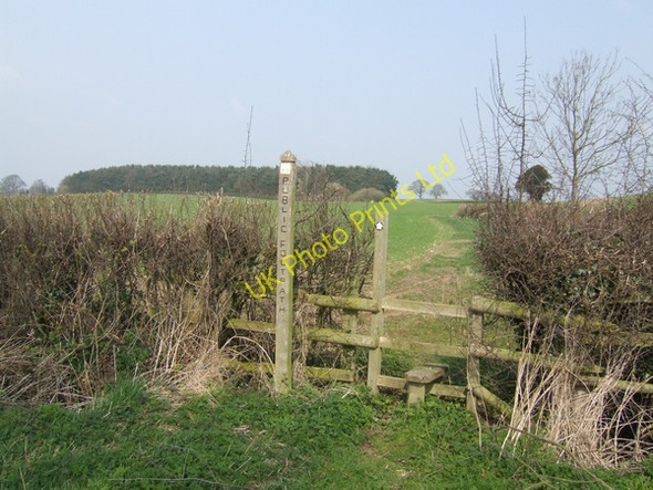 Photo 6"x4" Sunny wood and footpath Brineton c2007