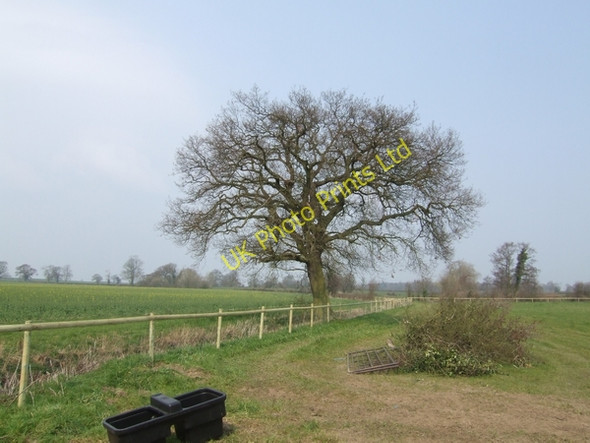 Photo 6"x4" County Boundary Marston\/SJ8314 c2007