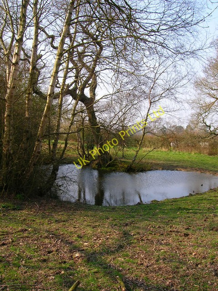 Photo 6"x4" Pond near Blackwell Farm Blackboys c2007