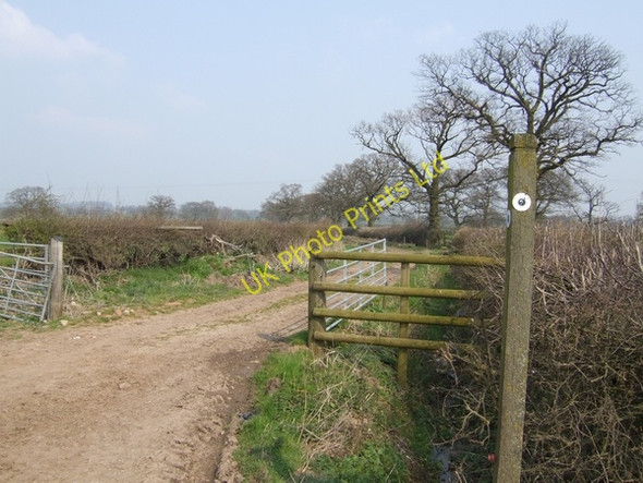 Photo 6"x4" Bridleway to Wheaton Aston Blymhill Lawns c2007