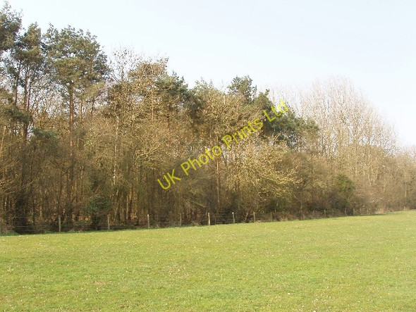 Photo 6"x4" Black Leys wood, near Weston on the Green Heathfield Village c2007