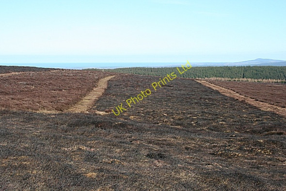 Photo 6"x4" Moss of Barluack Barluack c2007