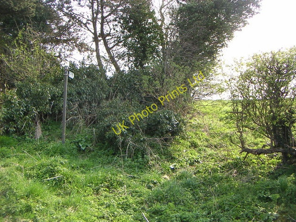 Photo 6"x4" Public Footpath Leckhampstead\/SP7237 c2007