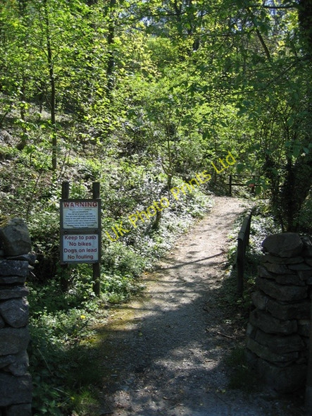 Photo 6"x4" Path through Castlebergh Plantation, Settle Settle c2007